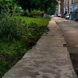 Walkway leading towards city street