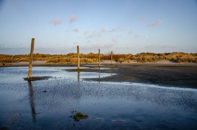 Scenic view of beach against sky