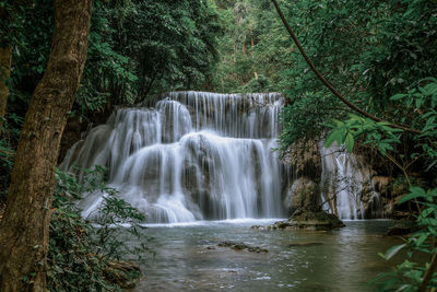 Scenic view of waterfall in forest