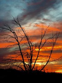 Silhouette of tree against dramatic sky