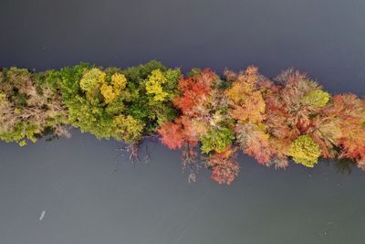 Scenic view of lake against sky during autumn