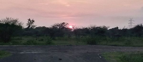 Trees on field against sky during sunset