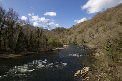 Scenic view of river amidst trees against sky