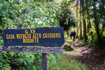 Close-up of road sign against plants