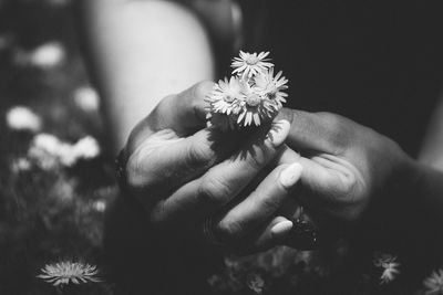 Close-up of cropped hand holding flower