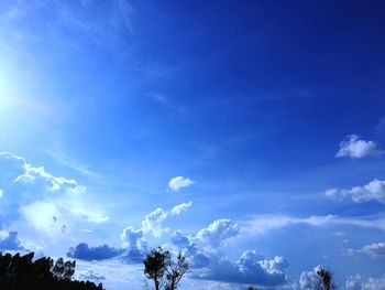 Low angle view of trees against blue sky