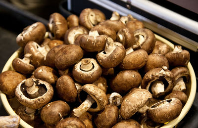 High angle view of mushrooms