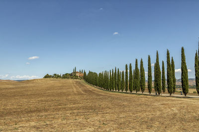 Panoramic view of road amidst field against sky