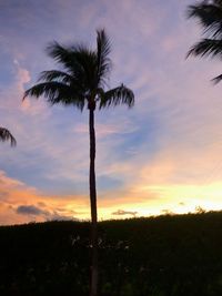 Silhouette palm trees against sky during sunset