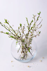 Close-up of white flower vase on table