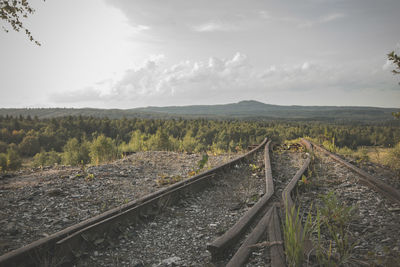 Railroad tracks amidst trees against sky