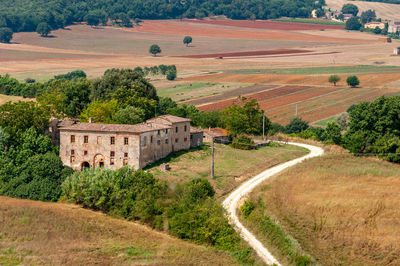 High angle view of agricultural field