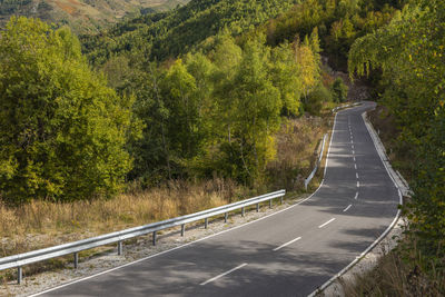 Road amidst trees in forest