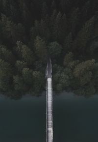 Low angle view of trees against sky