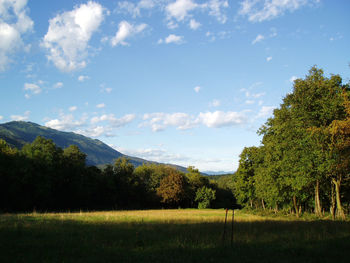 Trees on landscape against sky