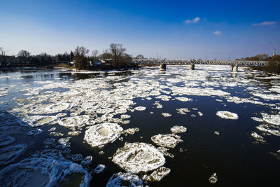 Scenic view of snow covered trees against sky