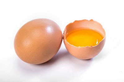 egg