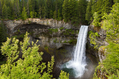 Scenic view of waterfall in forest