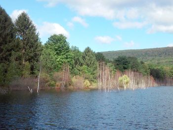 Scenic view of lake against sky