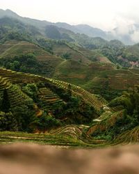 Scenic view of agricultural landscape