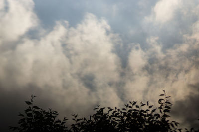 Low angle view of cloudy sky