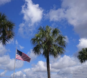 Low angle view of trees against cloudy sky