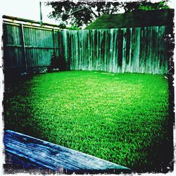 View of lawn in lawn