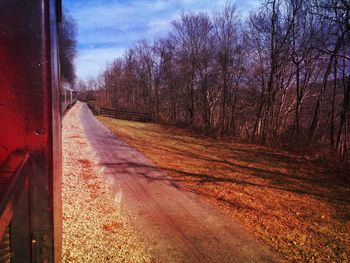 Road passing through trees