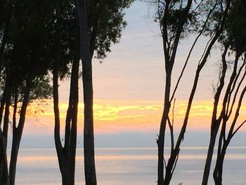 Scenic view of sea at sunset