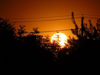 Silhouette of trees at sunset