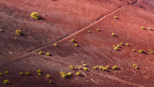 High angle view of red landscape