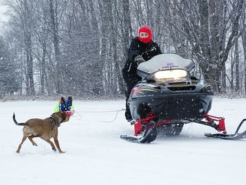 Dog on snow covered landscape