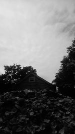 Low angle view of building against sky