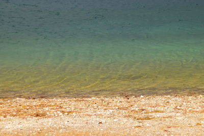 Scenic view of beach