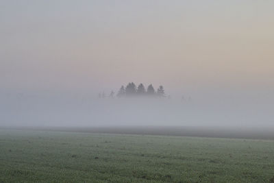 Scenic view of field against sky during foggy weather