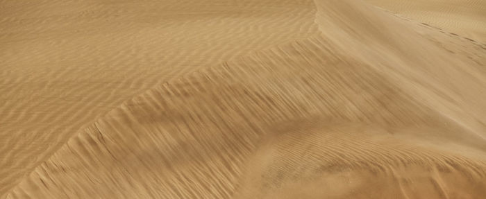 Tire tracks on sand