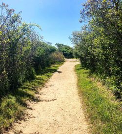 Road amidst plants and trees against sky