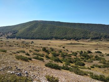 Scenic view of landscape against clear sky