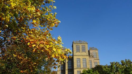 Low angle view of trees and building against sky