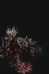 Low angle view of firework display against sky at night