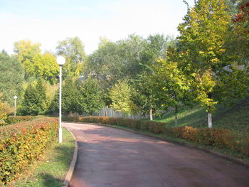 Street amidst trees against sky