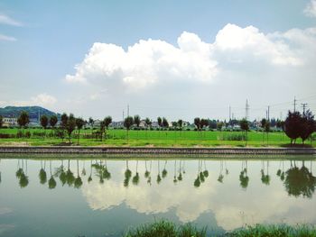 Scenic view of rural landscape