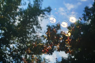 Low angle view of plants against sky