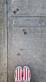 Low section of person standing on footpath with imprint of cat paws in cement.