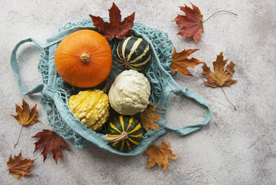 Autumn composition with assorted pumpkins in eco string bag, thanksgiving background.