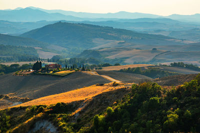 Scenic view of agricultural landscape against sky