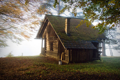 House amidst trees in foggy weather