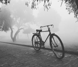 Bicycle on footpath at park during foggy weather