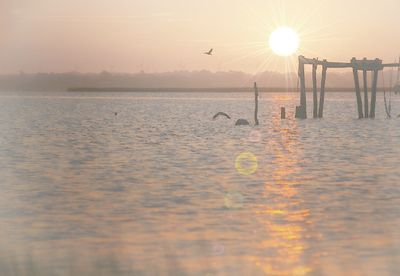 Scenic view of sea at sunset