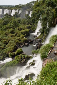 Scenic view of waterfall in forest